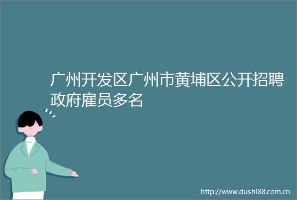 广州开发区广州市黄埔区公开招聘雇员多名
