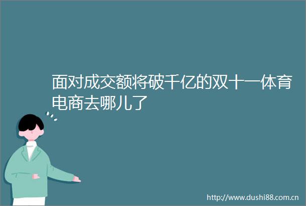 面对成交额将破千亿的双十一体育电商去哪儿了