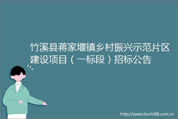 竹溪县蒋家堰镇乡村振兴示范片区建设项目（一标段）招标公告