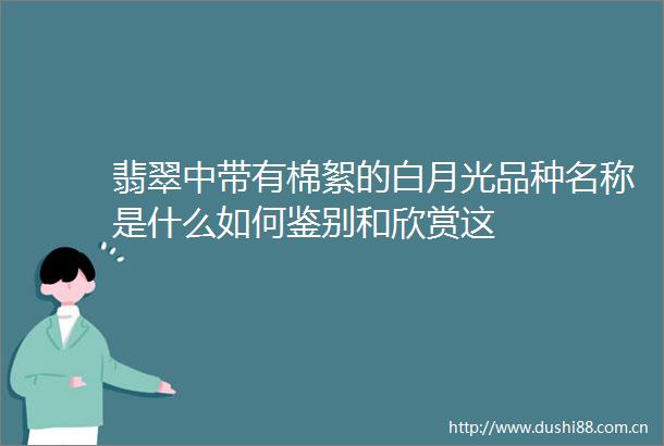 翡翠中带有棉絮的白月光品种名称是什么如何鉴别和欣赏这