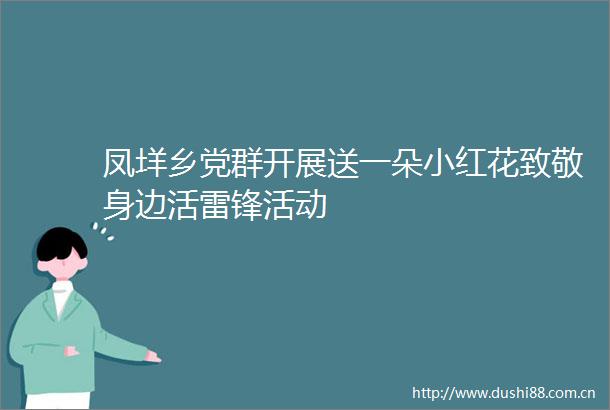 凤垟乡党群开展送一朵小红花致敬身边活雷锋活动