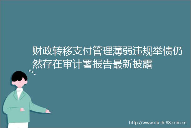 财政转移支付管理薄弱举债仍然存在审计署报告最新披露