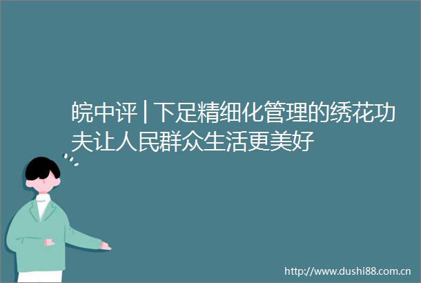 皖中评│下足精细化管理的绣花功夫让群众生活更美好