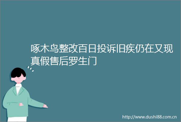 啄木鸟整改百日旧疾仍在又现真假售后罗生门