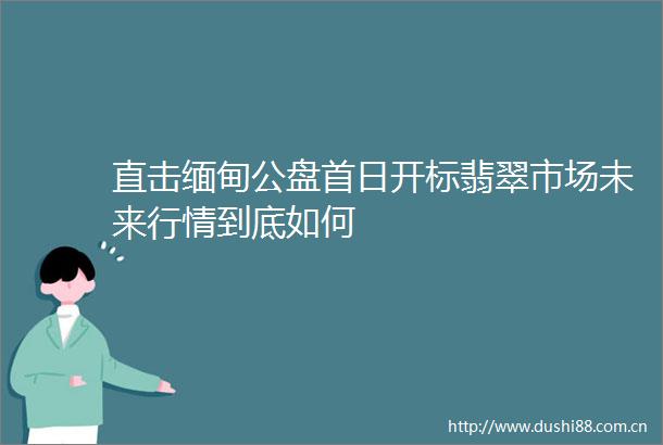 直击缅甸公盘首日开标翡翠市场未来行情到底如何