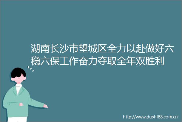 湖南长沙市望城区全力以赴做好六稳六保工作奋力夺取全年双胜利