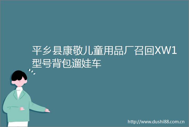 平乡县康敬儿童用品厂召回XW1型号背包遛娃车