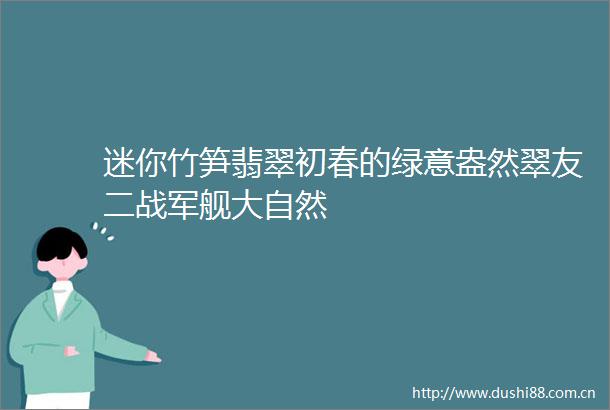 迷你竹笋翡翠初春的绿意盎然翠友二战军舰大自然
