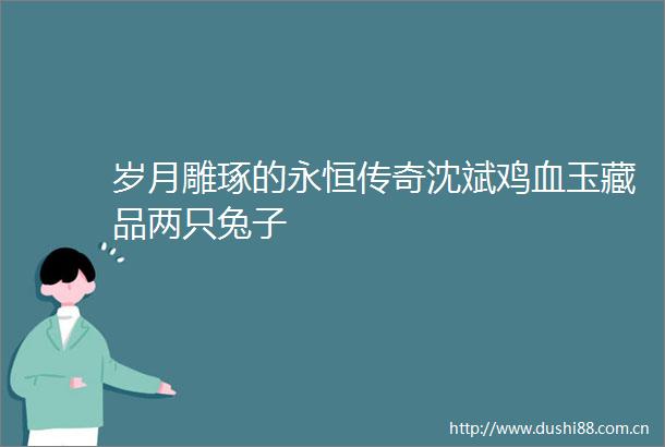 岁月雕琢的永恒传奇沈斌鸡血玉藏品两只兔子