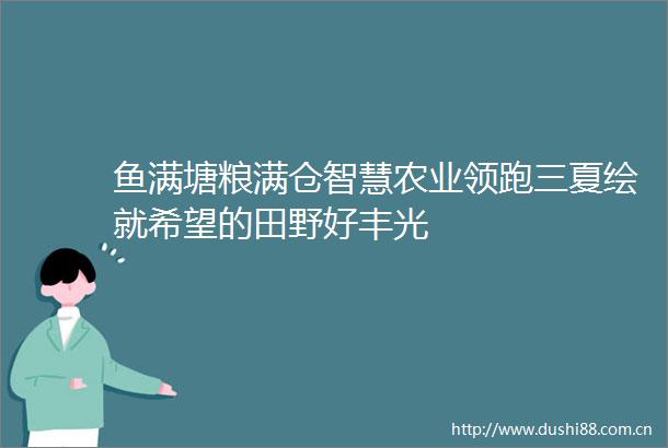 鱼满塘粮满仓智慧农业领跑三夏绘就希望的田野好丰光