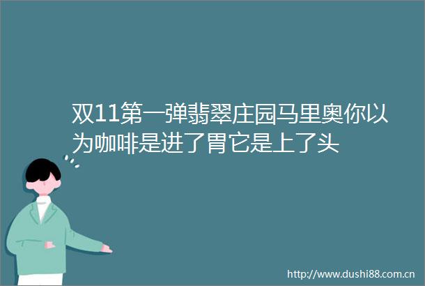 双11第一弹翡翠庄园马里奥你以为咖啡是进了胃它是上了头