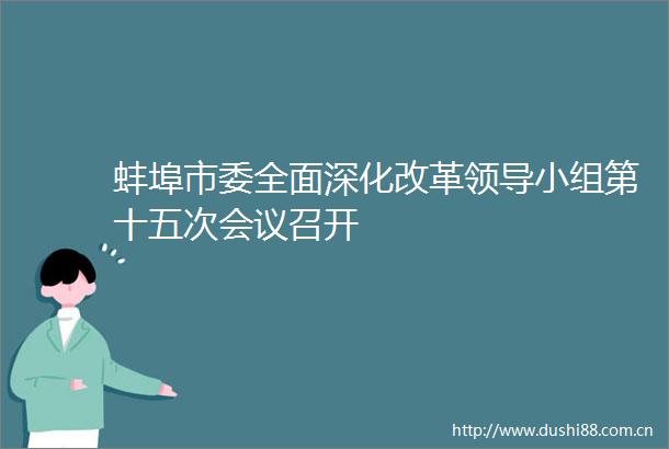 蚌埠市委全面深化改革小组第十五次会议召开