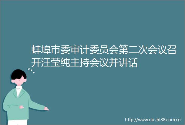 蚌埠市委审计委员会第二次会议召开汪莹纯主持会议并讲话