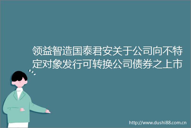 领益智造国泰君安关于公司向不特定对象发行可转换公司债券之上市保荐书