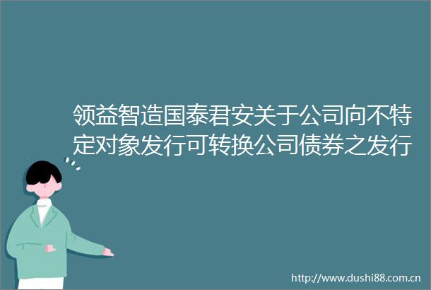 领益智造国泰君安关于公司向不特定对象发行可转换公司债券之发行保荐书（2024年半年度财务数据更新版）