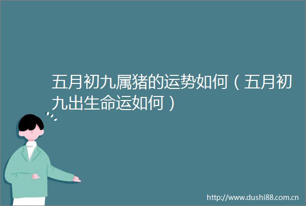 五月初九属猪的运势如何（五月初九出生命运如何）