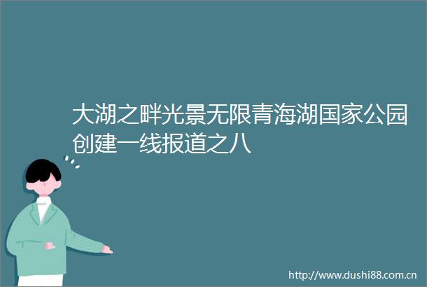 大湖之畔光景无限青海湖公园创建一线报道之八