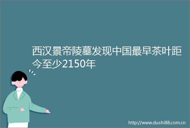 西汉景帝陵墓发现最早茶叶距今至少2150年