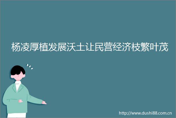 杨凌厚植发展沃土让民营经济枝繁叶茂