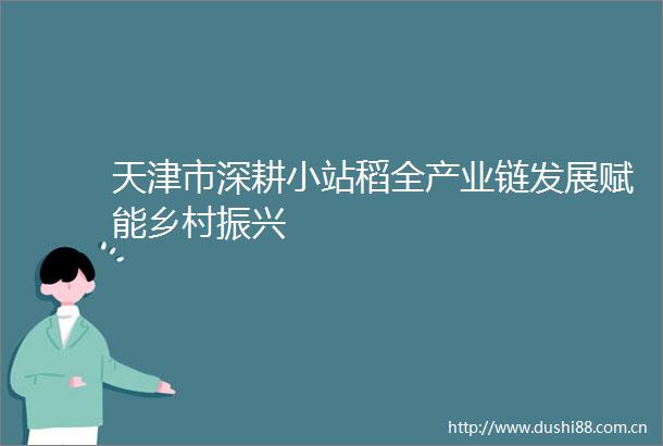 天津市深耕小站稻全产业链发展赋能乡村振兴