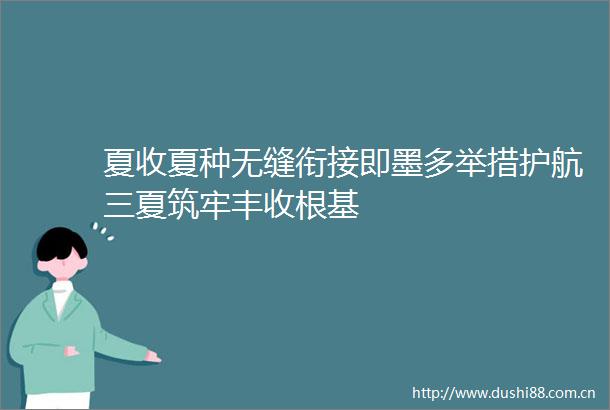 夏收夏种无缝衔接即墨多举措护航三夏筑牢丰收根基