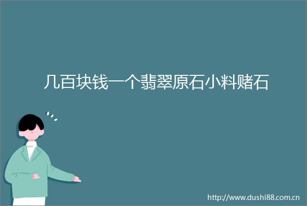 几百块钱一个翡翠原石小料赌石
