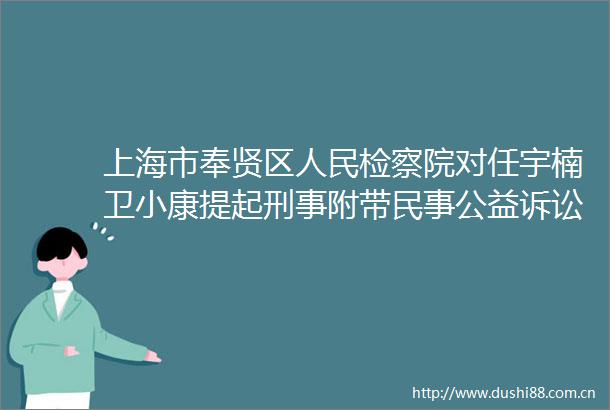上海市奉贤区检察院对任宇楠卫小康提起刑事附带公益诉讼的公告