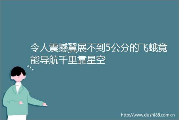 令人震撼翼展不到5公分的飞蛾竟能导航千里靠星空