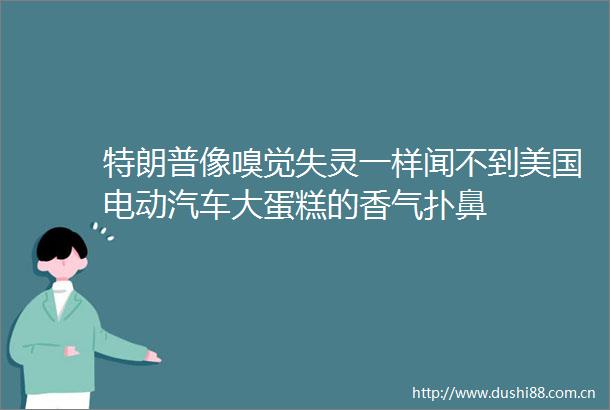 特朗普像嗅觉失灵一样闻不到美国电动汽车大蛋糕的香气扑鼻