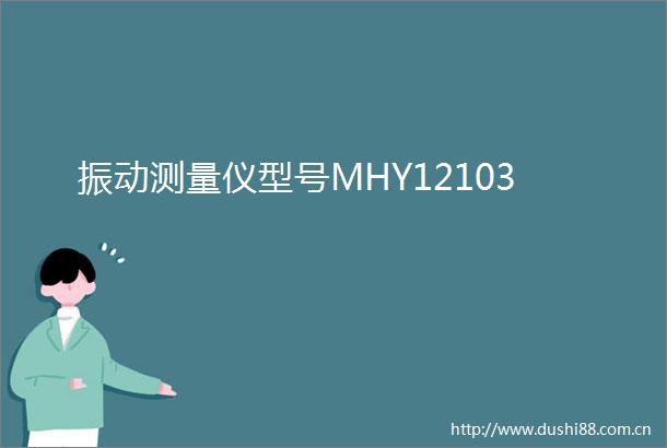 振动测量仪型号MHY12103