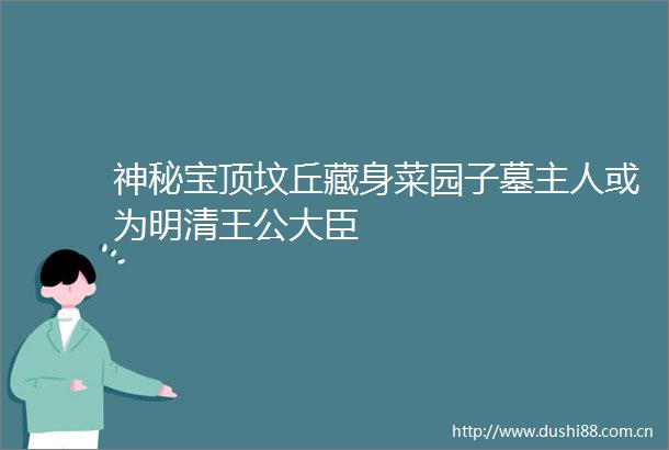 神秘宝顶坟丘藏身菜园子墓主人或为明清王公大臣