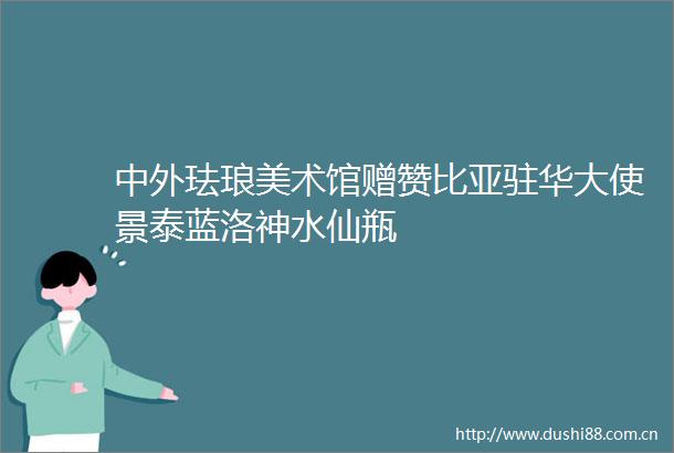 中外珐琅美术馆赠赞比亚驻华大使景泰蓝洛神水仙瓶