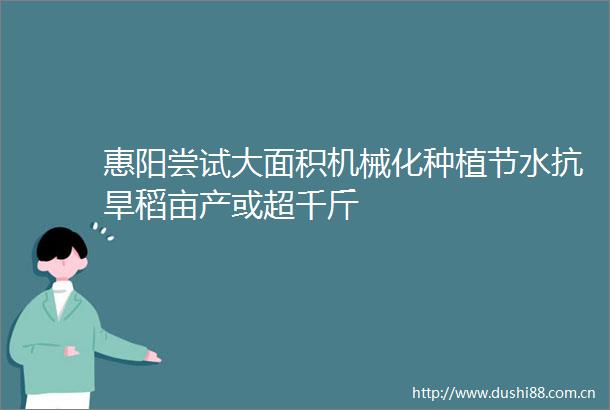 惠阳尝试大面积机械化种植节水抗旱稻亩产或超千斤