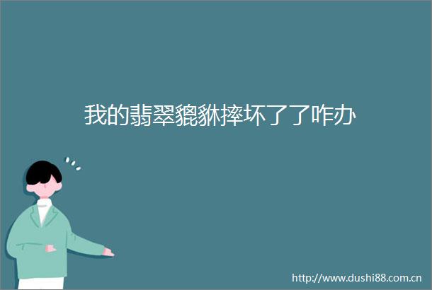 我的翡翠貔貅摔坏了了咋办