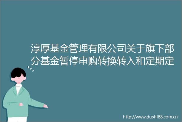 淳厚基金管理有限公司关于旗下部分基金暂停申购转换转入和定期定额投资业务的公告