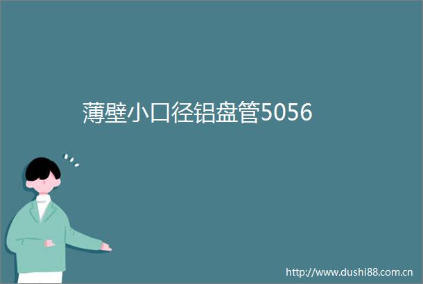 薄壁小口径铝盘管5056