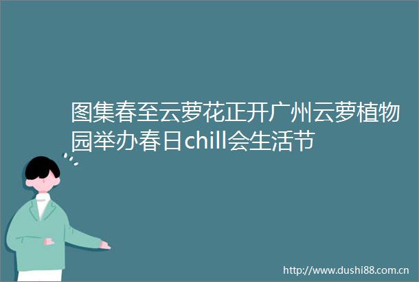 图集春至云萝花正开广州云萝植物园举办春日chill会生活节