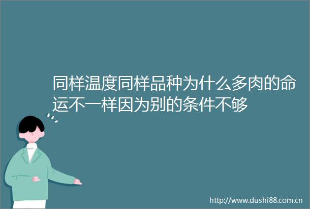 同样温度同样品种为什么多肉的命运不一样因为别的条件不够