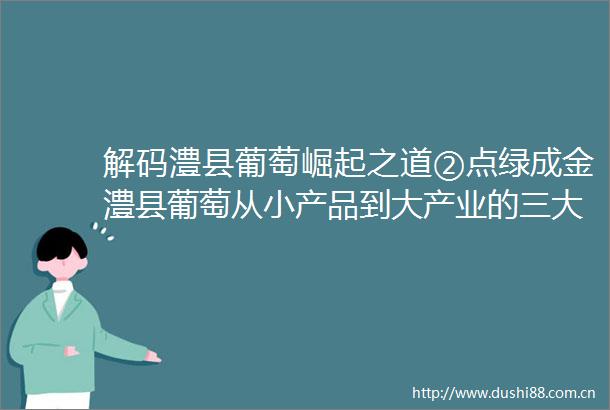 解码澧县葡萄崛起之道②点绿成金澧县葡萄从小产品到大产业的三大法宝