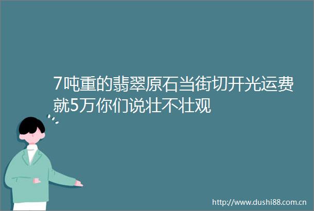 7吨重的翡翠原石当街切开光运费就5万你们说壮不壮观