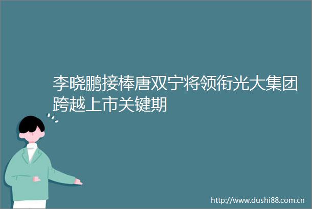 李晓鹏接棒唐双宁将领衔光大集团跨越上市关键期