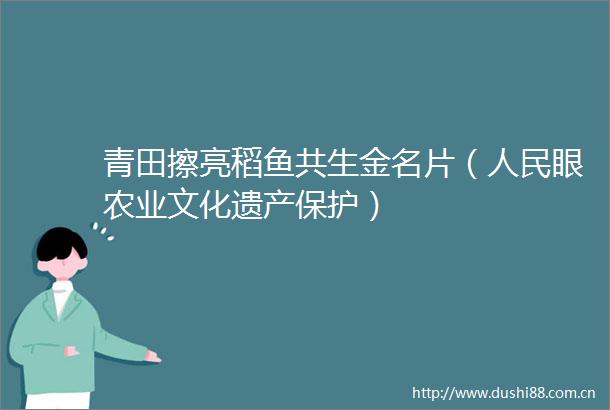 青田擦亮稻鱼共生金名片（眼农业文化遗产保护）