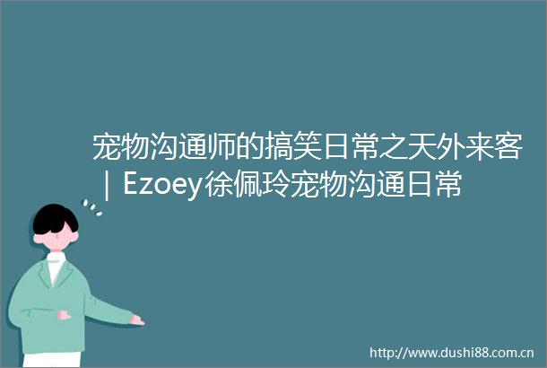 宠物沟通师的搞笑日常之天外来客｜Ezoey徐佩玲宠物沟通日常系列