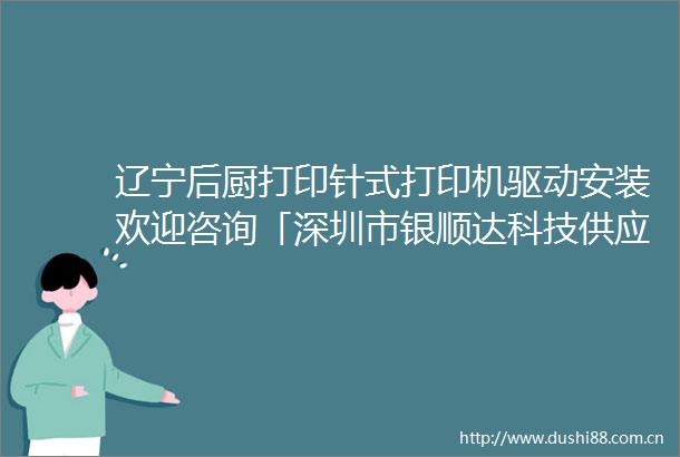 辽宁后厨打印针式打印机驱动安装欢迎咨询「深圳市银顺达科技供应」