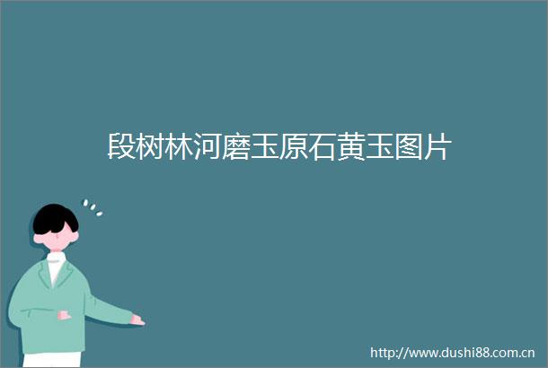 段树林河磨玉原石黄玉图片