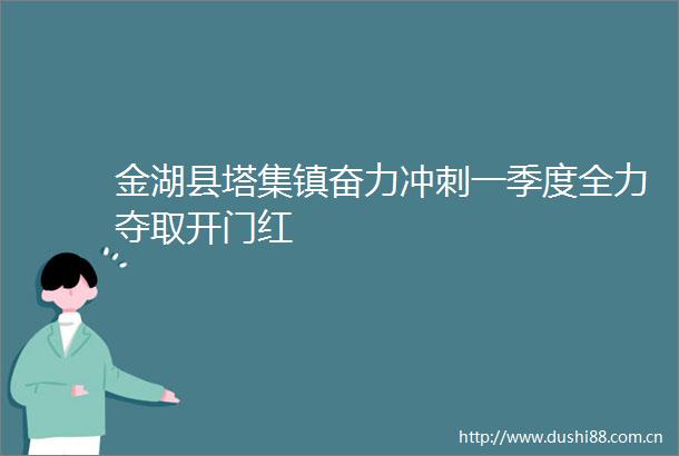 金湖县塔集镇奋力冲刺一季度全力夺取开门红