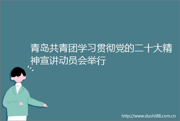 青岛共青团学习贯彻党的二十大精神宣讲动员会举行