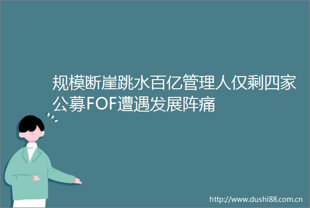 规模断崖跳水百亿管理人仅剩四家公募FOF遭遇发展阵痛