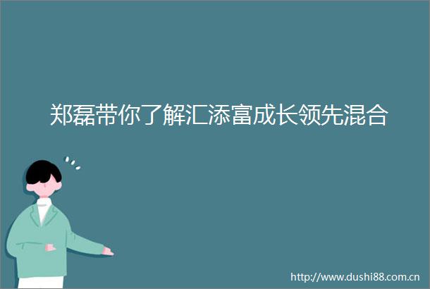 郑磊带你了解汇添富成长领先混合
