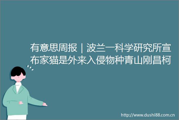 有意思周报｜波兰一科学研究所宣布家猫是外来入侵物种青山刚昌柯南最终回我已经画好了
